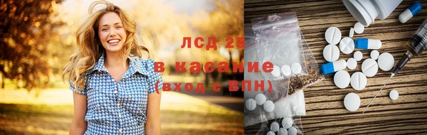 spice Алзамай