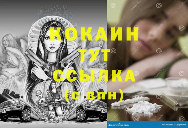 spice Алзамай