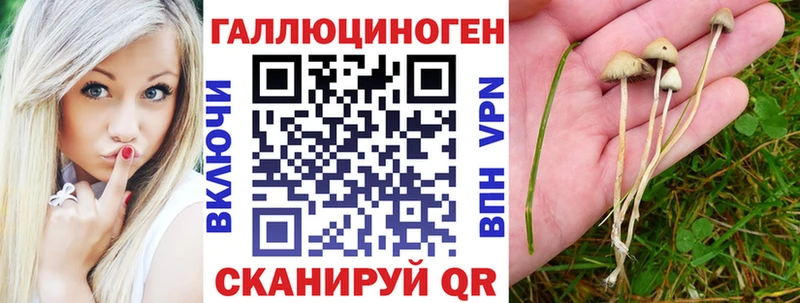 наркота  Воткинск  Псилоцибиновые грибы прущие грибы 