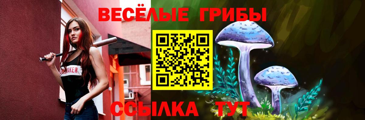 Воткинск  Галлюциногенные грибы Cubensis  Вход с VPN 